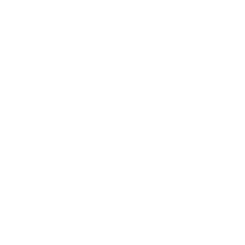Lago N°45 Logo